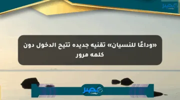 «وداعًا للنسيان» تقنية جديدة تتيح الدخول دون كلمة مرور